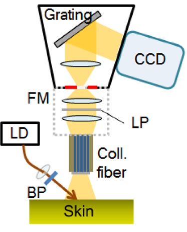 無(wú)創(chuàng)血糖測(cè)量的拉曼光譜法工作流程